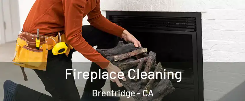 Fireplace Cleaning Brentridge - CA