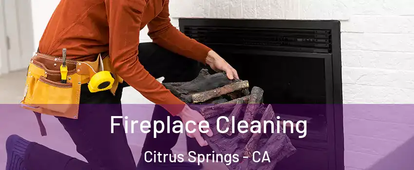 Fireplace Cleaning Citrus Springs - CA