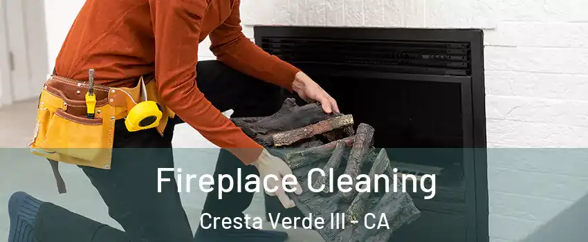 Fireplace Cleaning Cresta Verde III - CA