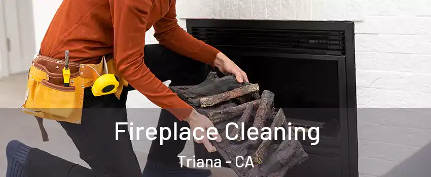 Fireplace Cleaning Triana - CA