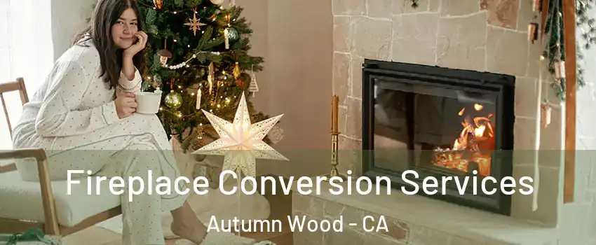 Fireplace Conversion Services Autumn Wood - CA