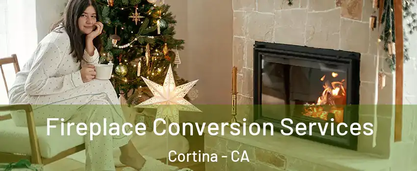 Fireplace Conversion Services Cortina - CA