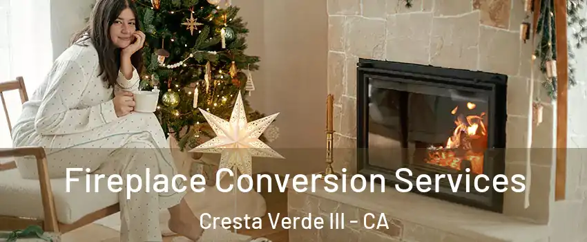 Fireplace Conversion Services Cresta Verde III - CA