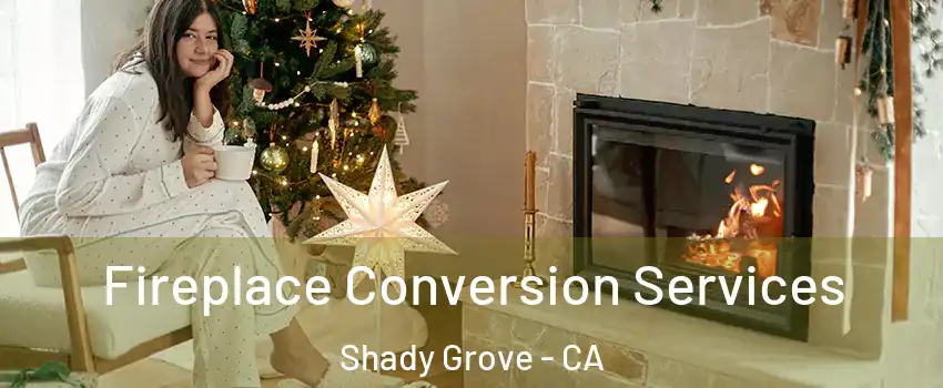 Fireplace Conversion Services Shady Grove - CA