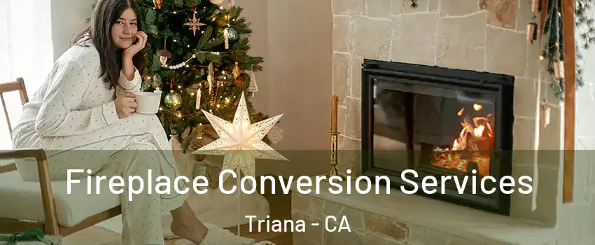 Fireplace Conversion Services Triana - CA