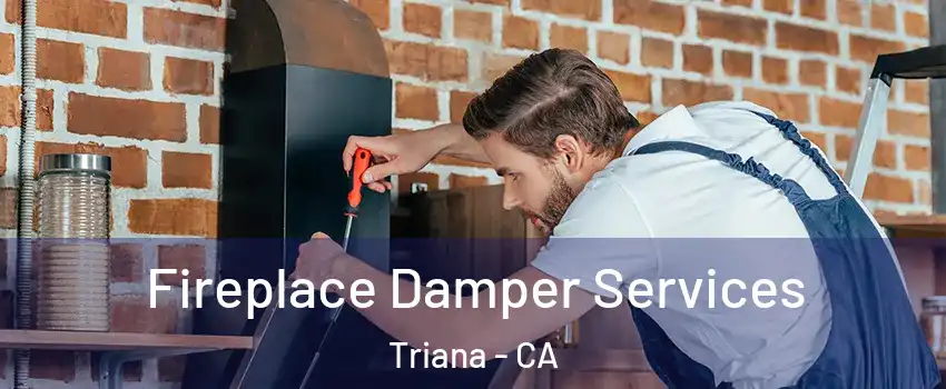 Fireplace Damper Services Triana - CA