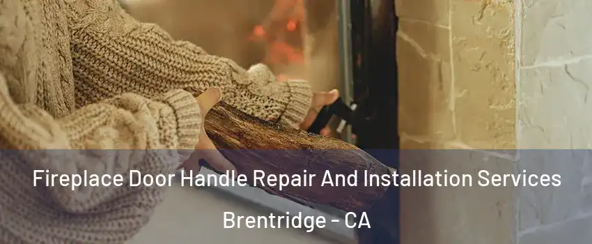 Fireplace Door Handle Repair And Installation Services Brentridge - CA