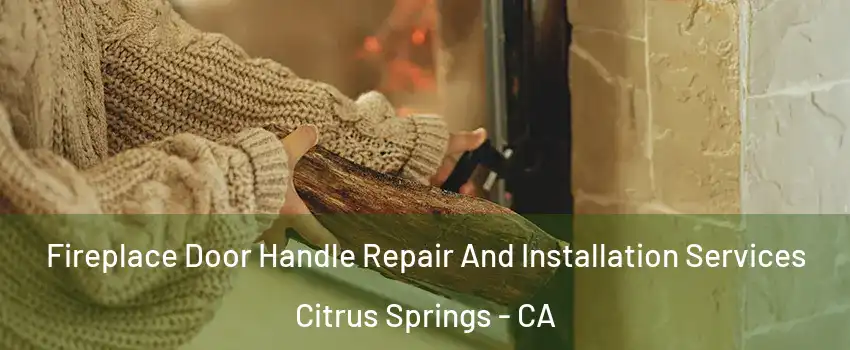 Fireplace Door Handle Repair And Installation Services Citrus Springs - CA