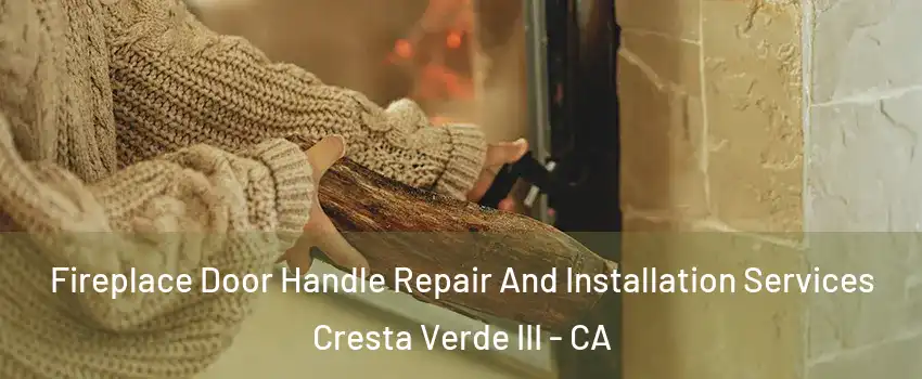 Fireplace Door Handle Repair And Installation Services Cresta Verde III - CA