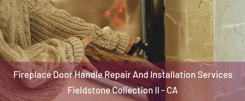 Fireplace Door Handle Repair And Installation Services Fieldstone Collection II - CA