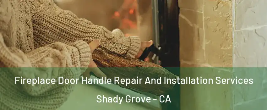 Fireplace Door Handle Repair And Installation Services Shady Grove - CA