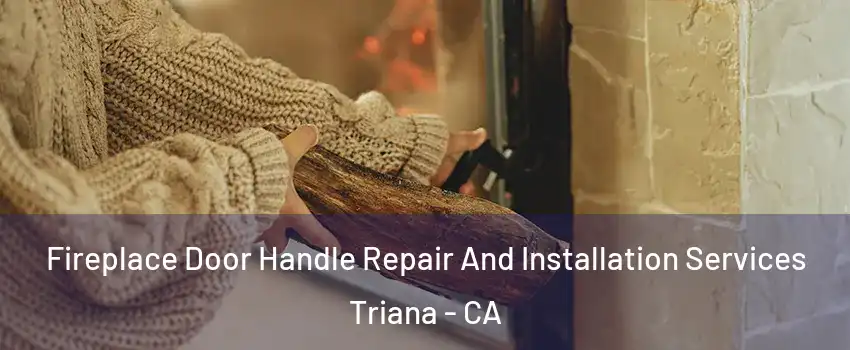 Fireplace Door Handle Repair And Installation Services Triana - CA