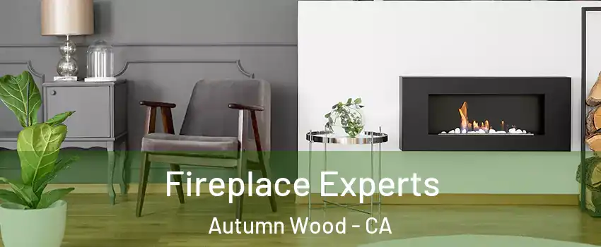 Fireplace Experts Autumn Wood - CA
