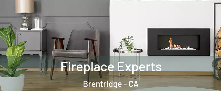Fireplace Experts Brentridge - CA