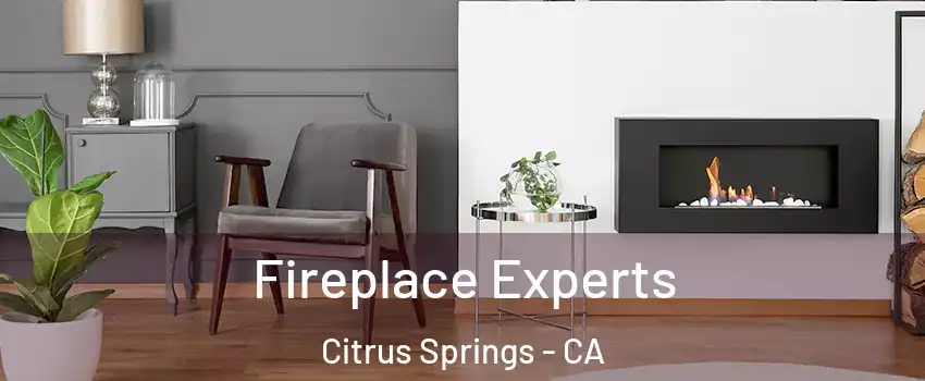 Fireplace Experts Citrus Springs - CA