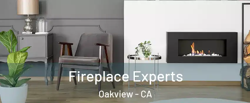 Fireplace Experts Oakview - CA