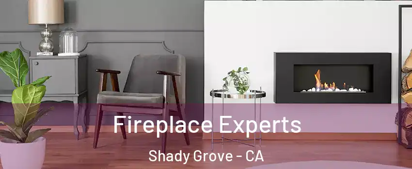 Fireplace Experts Shady Grove - CA