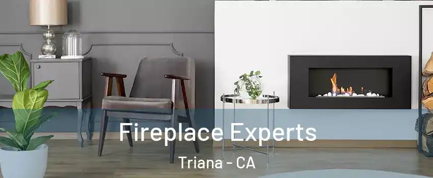 Fireplace Experts Triana - CA