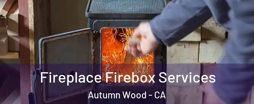 Fireplace Firebox Services Autumn Wood - CA