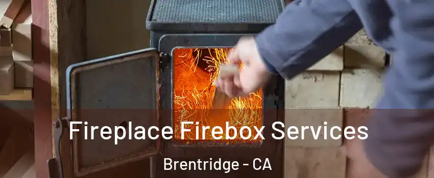 Fireplace Firebox Services Brentridge - CA
