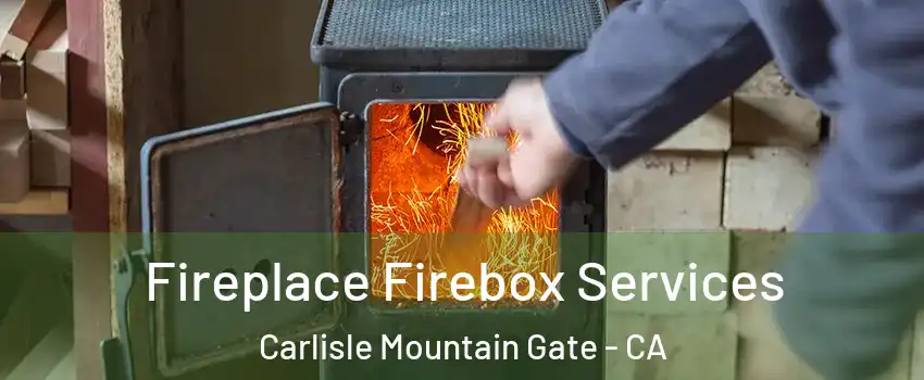 Fireplace Firebox Services Carlisle Mountain Gate - CA