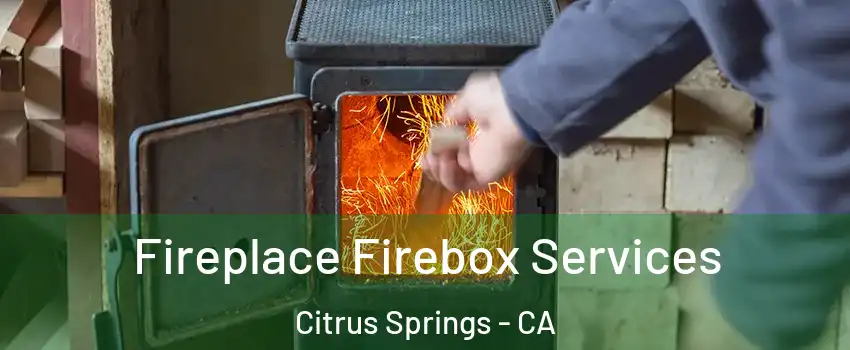 Fireplace Firebox Services Citrus Springs - CA