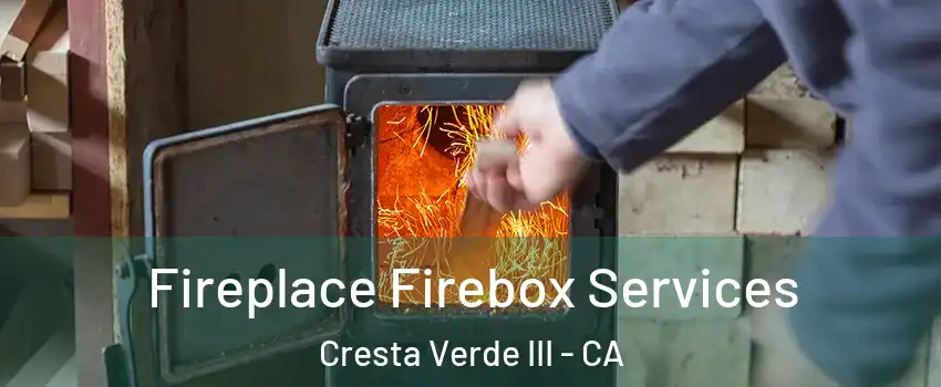 Fireplace Firebox Services Cresta Verde III - CA