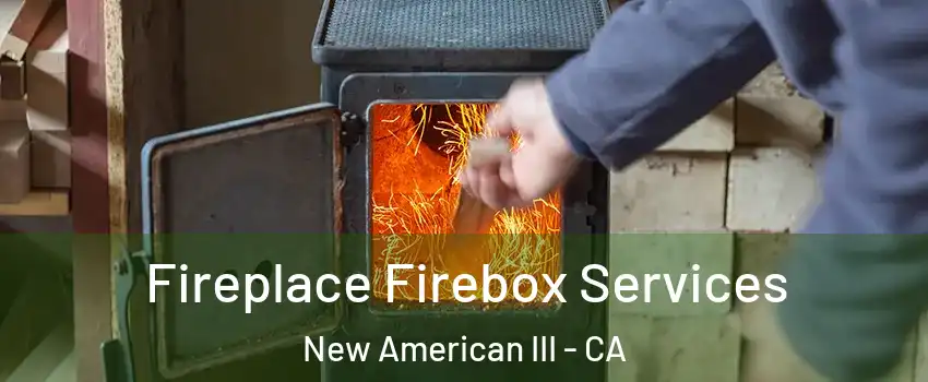 Fireplace Firebox Services New American III - CA