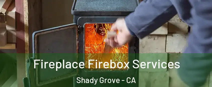 Fireplace Firebox Services Shady Grove - CA