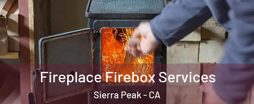 Fireplace Firebox Services Sierra Peak - CA