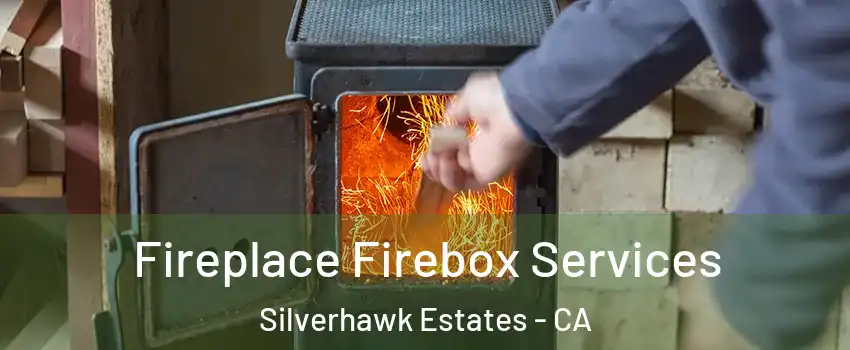 Fireplace Firebox Services Silverhawk Estates - CA