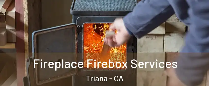Fireplace Firebox Services Triana - CA