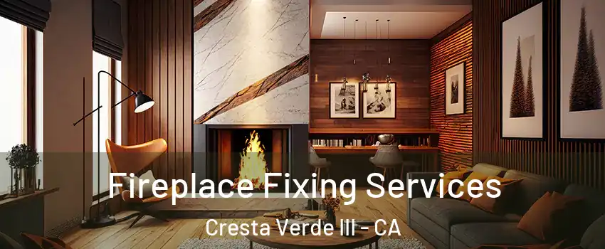 Fireplace Fixing Services Cresta Verde III - CA
