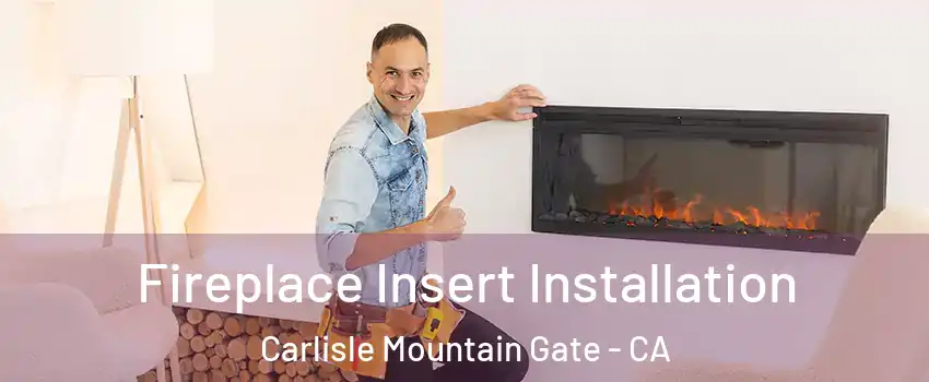 Fireplace Insert Installation Carlisle Mountain Gate - CA