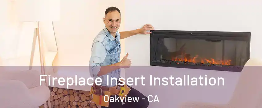 Fireplace Insert Installation Oakview - CA