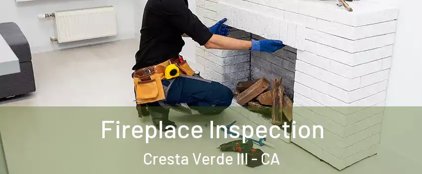 Fireplace Inspection Cresta Verde III - CA