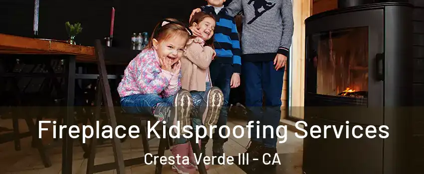 Fireplace Kidsproofing Services Cresta Verde III - CA