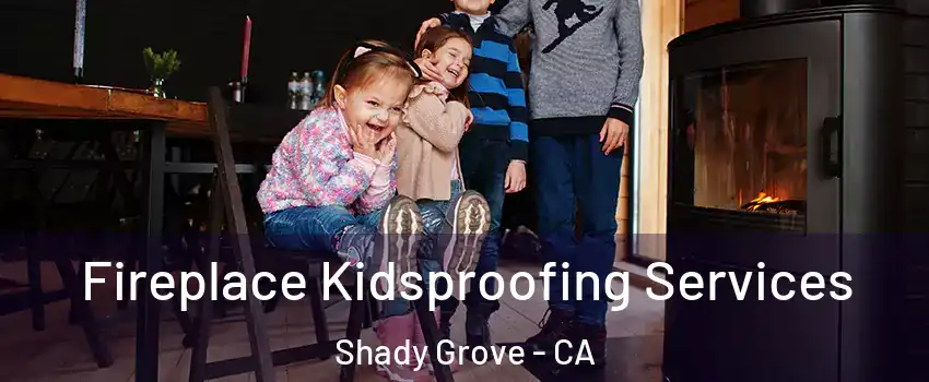 Fireplace Kidsproofing Services Shady Grove - CA