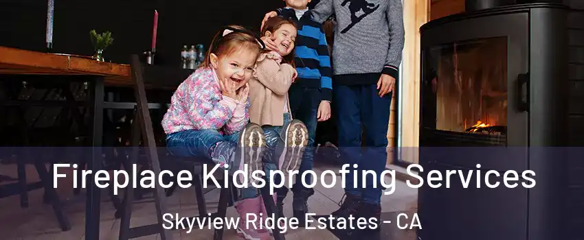 Fireplace Kidsproofing Services Skyview Ridge Estates - CA