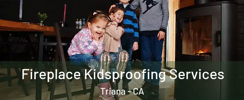 Fireplace Kidsproofing Services Triana - CA