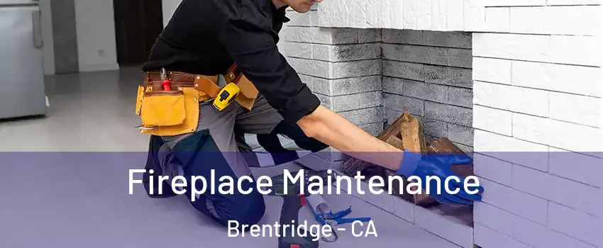 Fireplace Maintenance Brentridge - CA
