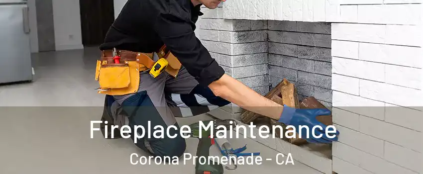 Fireplace Maintenance Corona Promenade - CA
