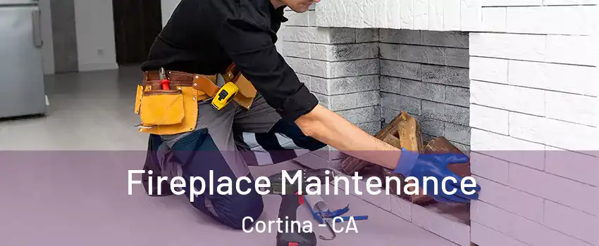 Fireplace Maintenance Cortina - CA