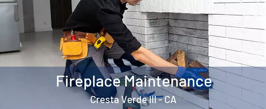 Fireplace Maintenance Cresta Verde III - CA