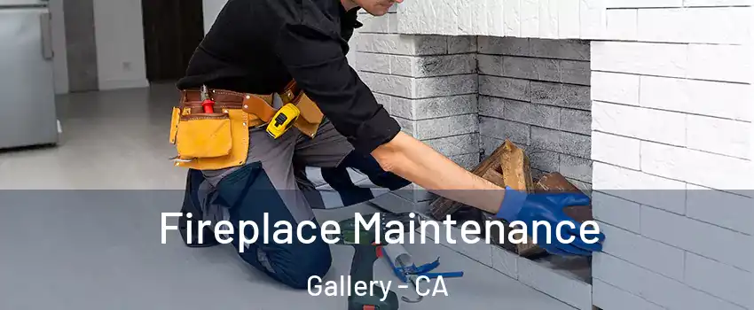 Fireplace Maintenance Gallery - CA