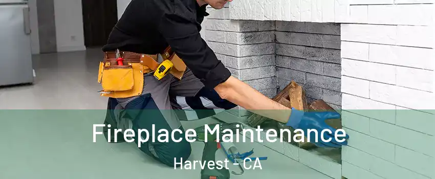Fireplace Maintenance Harvest - CA