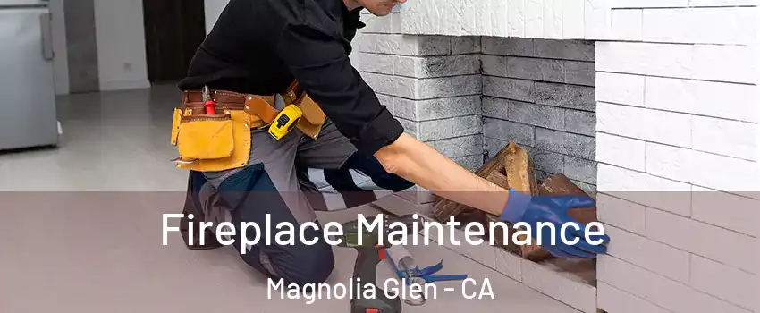Fireplace Maintenance Magnolia Glen - CA