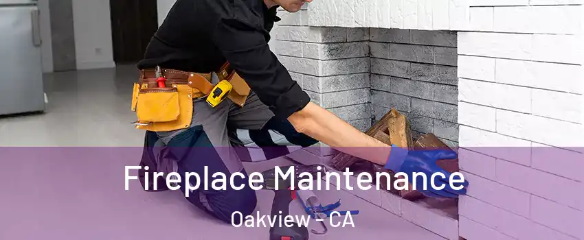 Fireplace Maintenance Oakview - CA