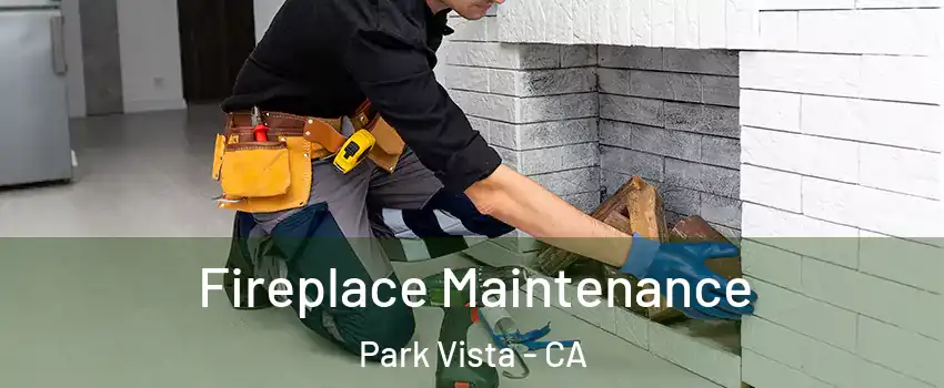Fireplace Maintenance Park Vista - CA