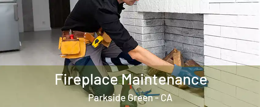Fireplace Maintenance Parkside Green - CA